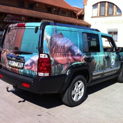 Jeep Commander 7 Terep Avar5